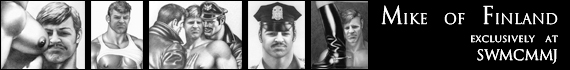 mikeoffinland banner