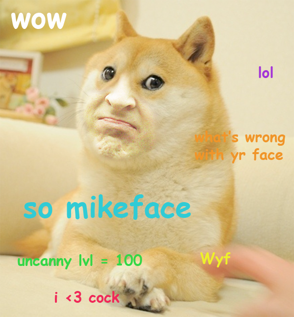 bis doge