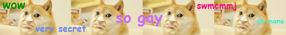 bis doge banner